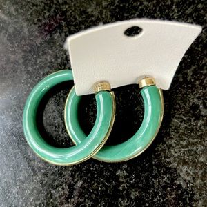 Free People Line Up Resin Hoop Earrings